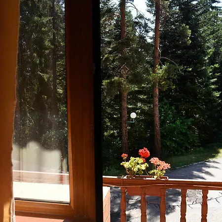 卡特琳娜滑雪酒店 班斯科