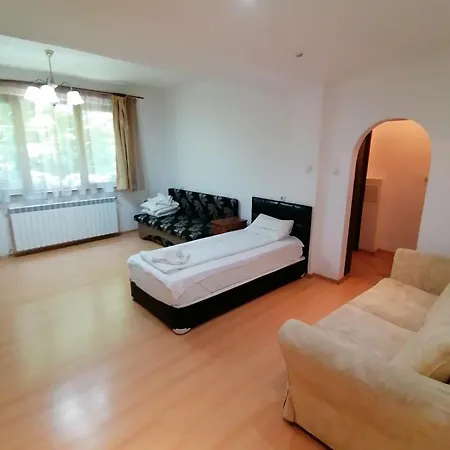 酒店 卡特琳娜滑雪酒店 班斯科