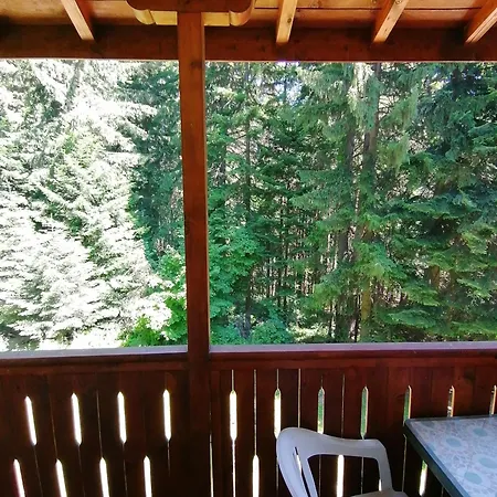 卡特琳娜滑雪酒店