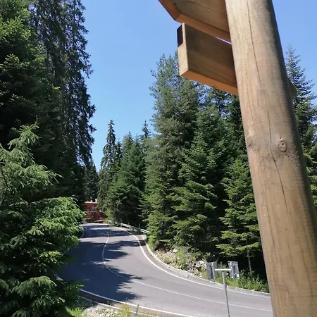 卡特琳娜滑雪酒店 班斯科