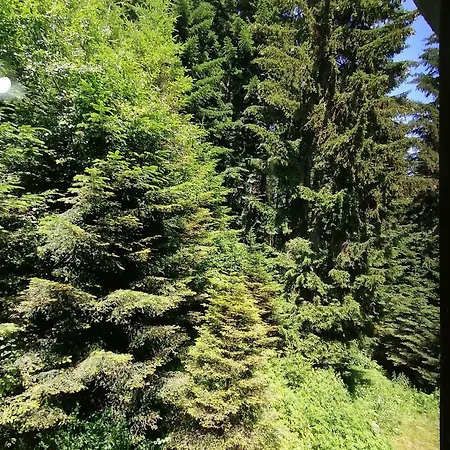 卡特琳娜滑雪酒店 2* 班斯科