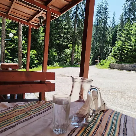 卡特琳娜滑雪酒店 酒店 班斯科