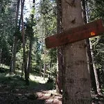 Hotel Katerina Bansko
