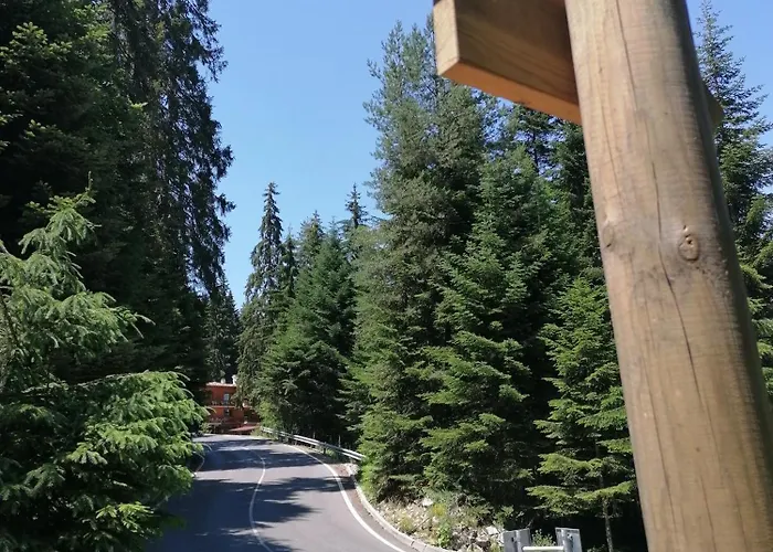 Katerina Банско