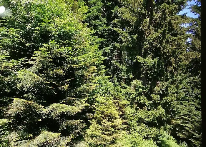 Katerina 2* Банско